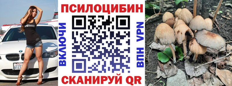 Галлюциногенные грибы мицелий  Остров 